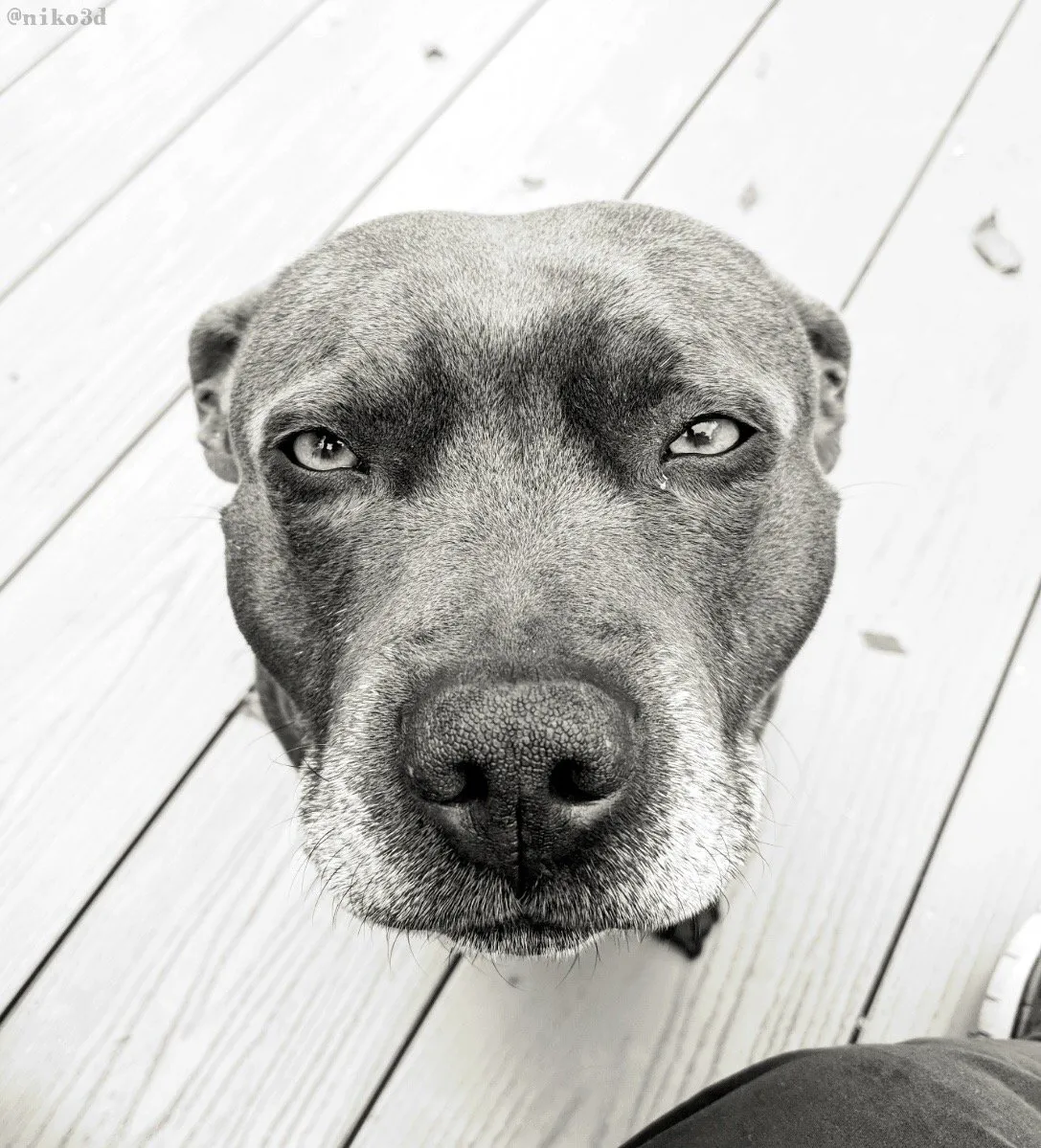 9808D648-4435-4AD7-88BE-31E5CC586AB0.jpeg