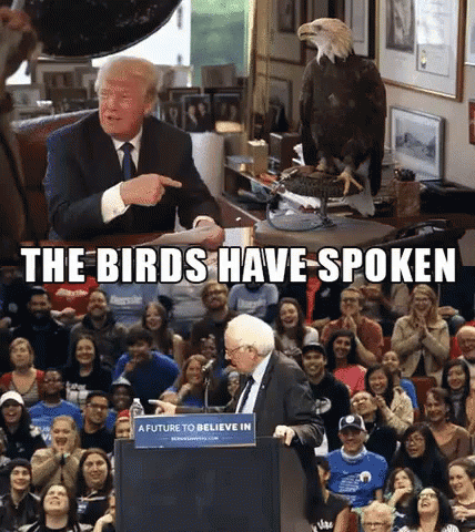 untitled.gif