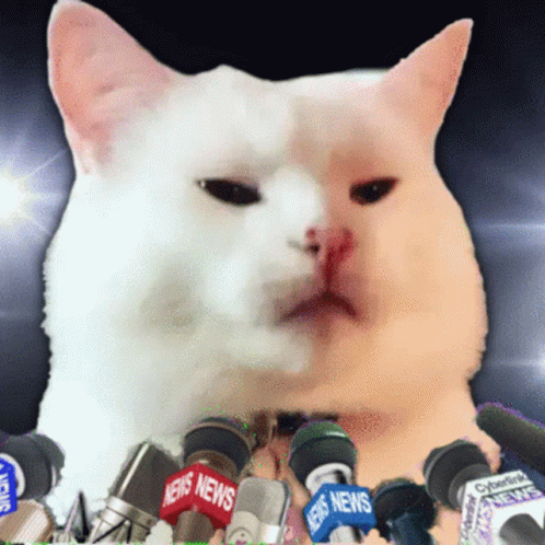 untitled.gif
