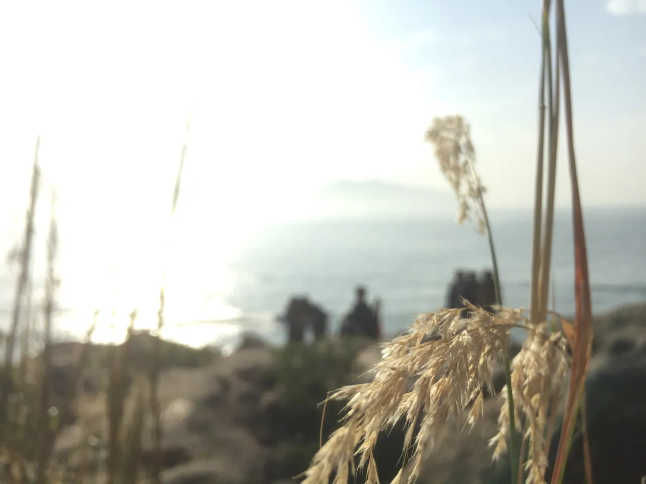 99752D0A-BB40-43F3-A4A8-BACB8B0D95E3.jpeg