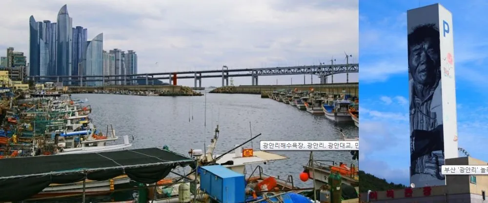 2018-12-07 16;59;30 복사.jpg