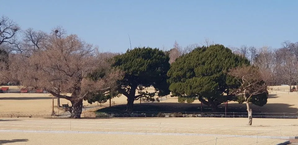 KakaoTalk_20190210_161416541.jpg