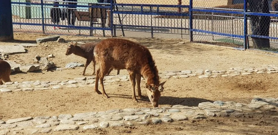 KakaoTalk_20190210_161417575.jpg