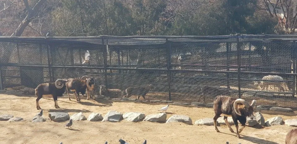 KakaoTalk_20190210_161418823.jpg