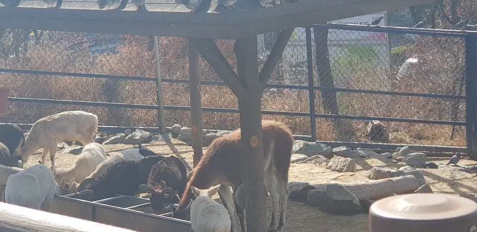 KakaoTalk_20190210_161418978.jpg