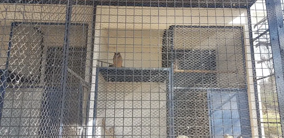 KakaoTalk_20190210_161518327_19.jpg