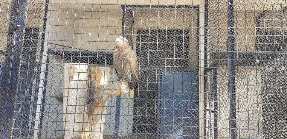 KakaoTalk_20190210_161518327_20.jpg