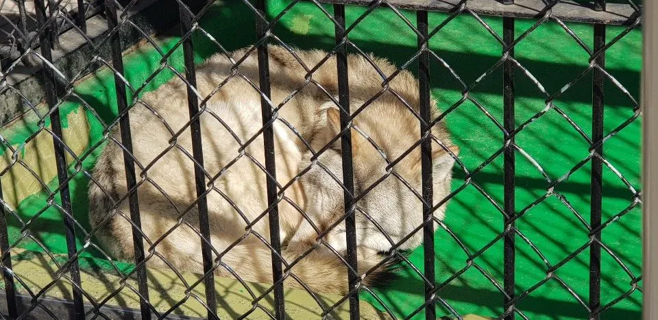 KakaoTalk_20190210_161423624.jpg