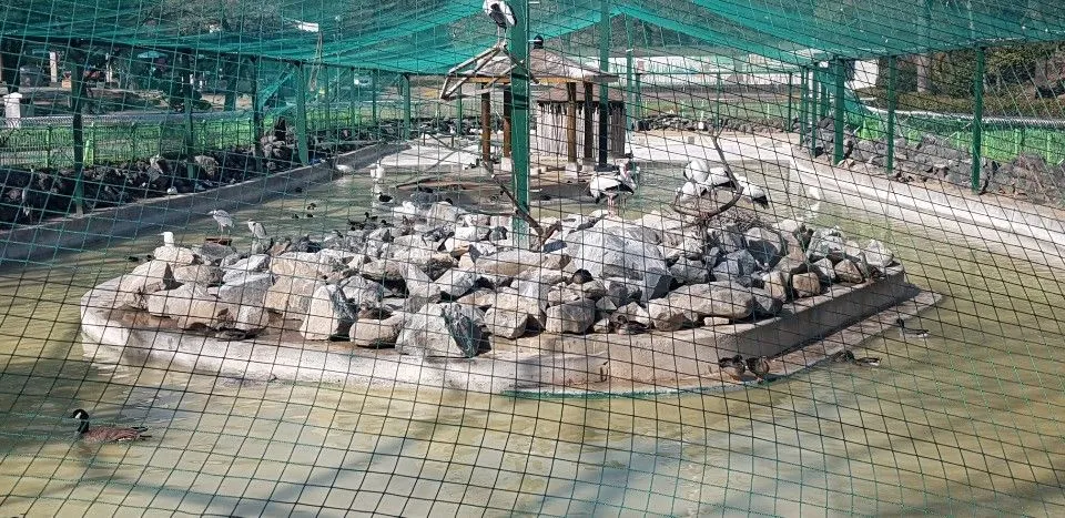 KakaoTalk_20190210_161423811.jpg