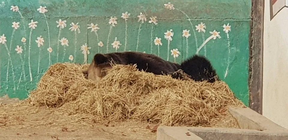 KakaoTalk_20190210_161606419_03.jpg