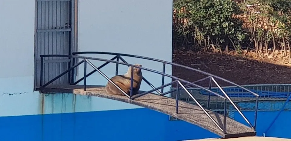 KakaoTalk_20190210_161606419_18.jpg