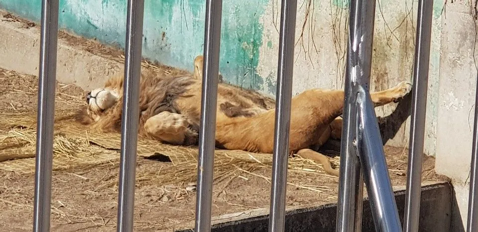 KakaoTalk_20190210_161639486_06.jpg