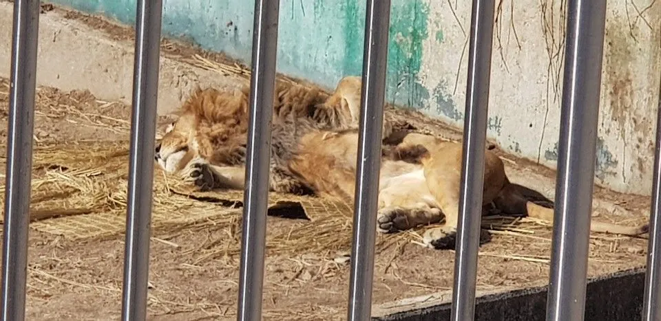 KakaoTalk_20190210_161639486_08.jpg