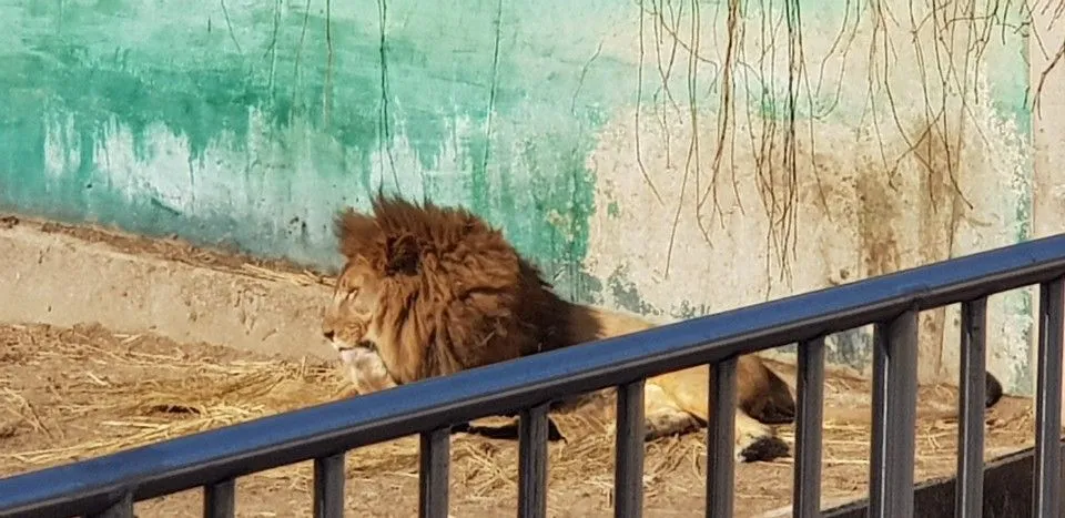KakaoTalk_20190210_161639486_10.jpg