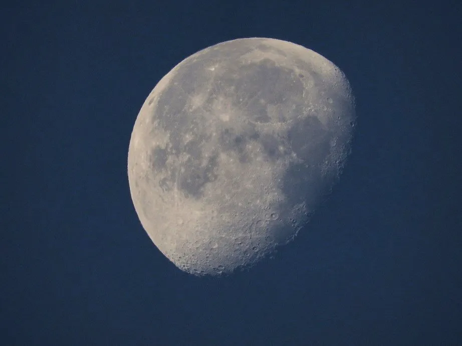 12 Last Quarter Moons