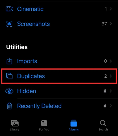 duplicates-ios-16