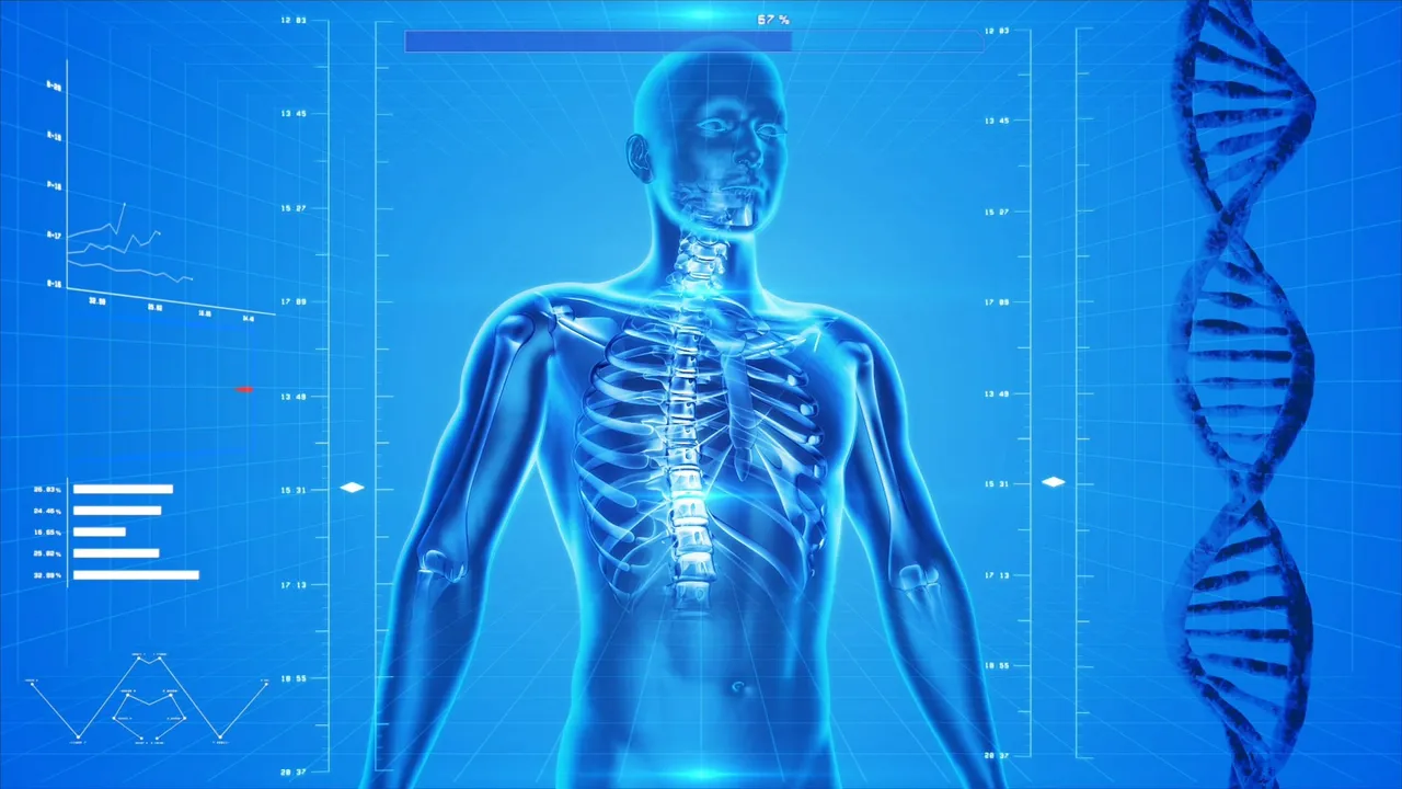 MaxPixel.freegreatpicture.com-The-Human-Body-X-ray-Anatomy-People-Human-Skeleton-163715.jpg