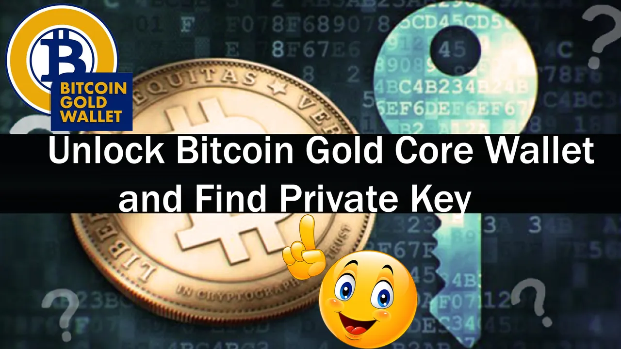 Unlock Bitcoin Gold Wallet and Find Private Key by Crypto Wallets Info.jpg