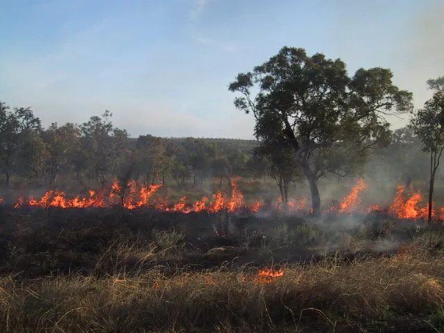 australia-bush fire