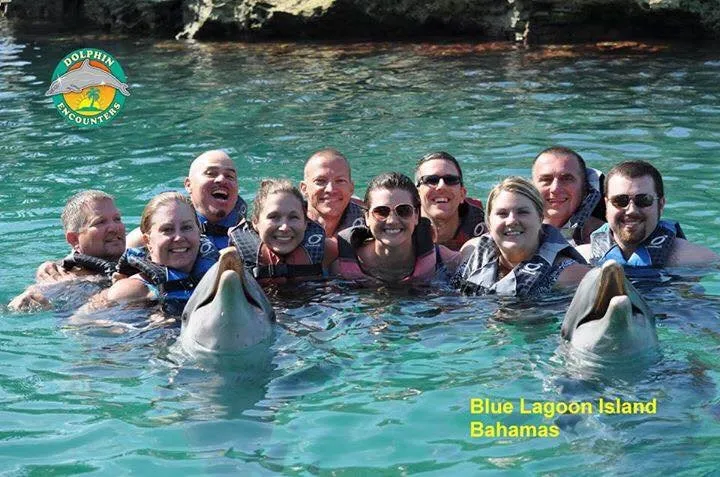 Dolphins