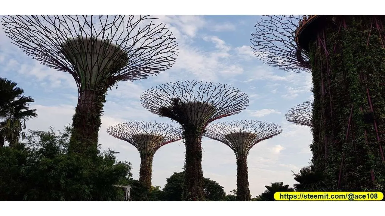 Mid-Autumn 2018 at Gardens by the Bay 220