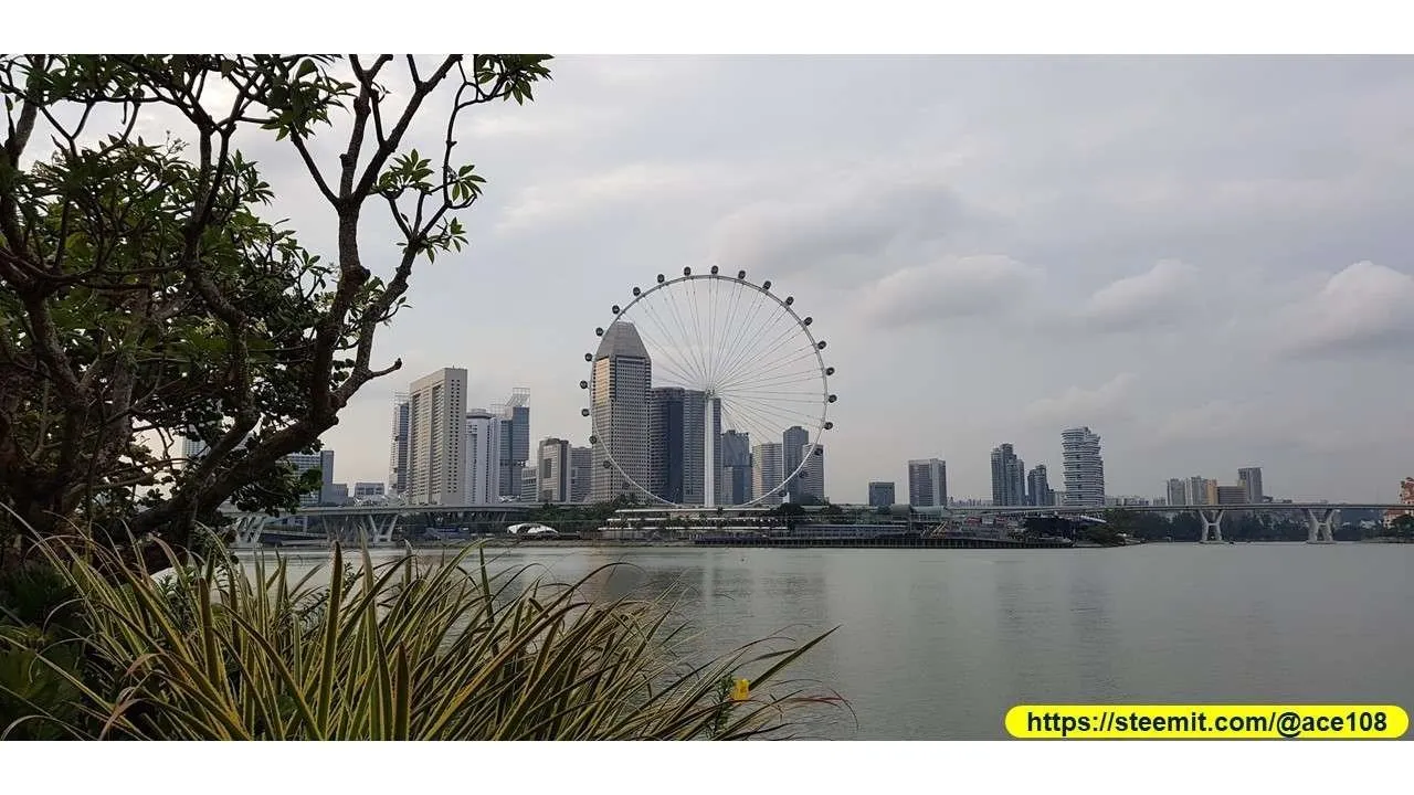 Mid-Autumn 2018 at Gardens by the Bay 230