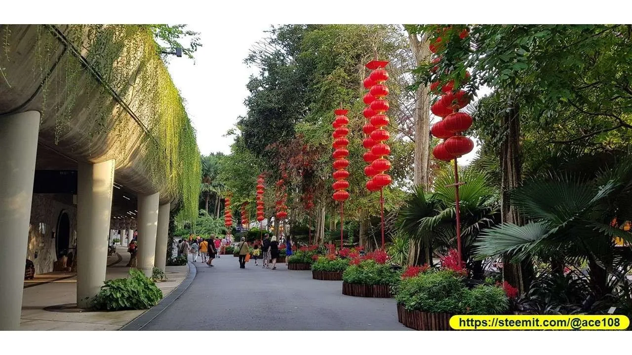 Mid-Autumn 2018 at Gardens by the Bay 200