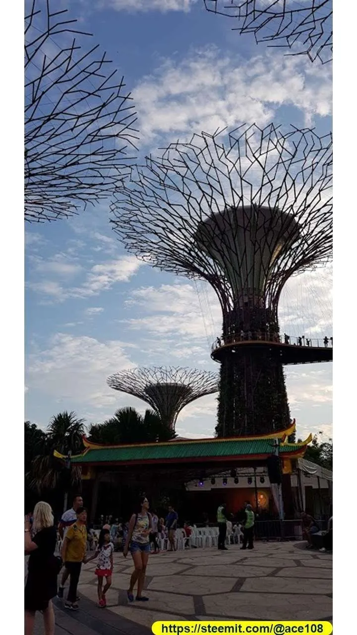Mid-Autumn 2018 at Gardens by the Bay 250
