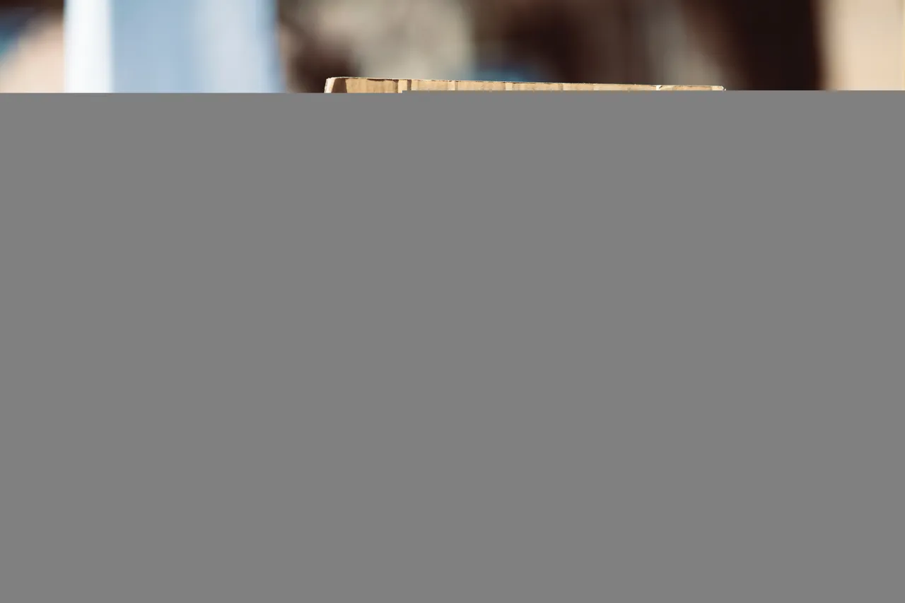 Free Planet Dead Planet letzte Generation free markus-spiske-xYY7WADfens-unsplash blanko Lot of jobs free red quader Hive Logo free media Copyright.jpg