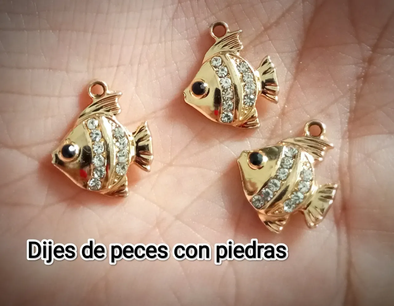 LQui6kXccEle8rpY_IMG_20250305_170739.webp