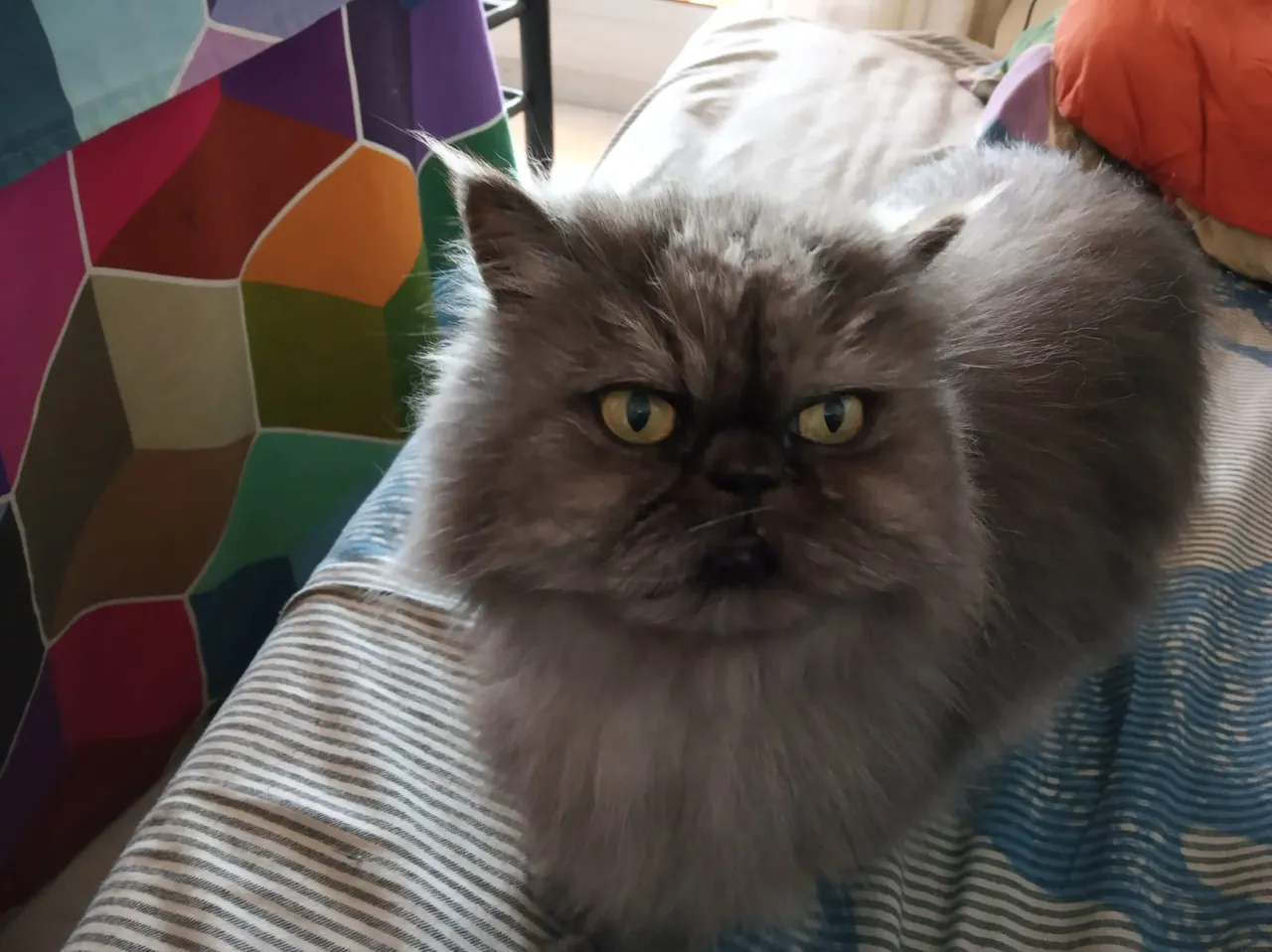 WhatsApp Image 2019-04-11 at 21.59.20.jpeg