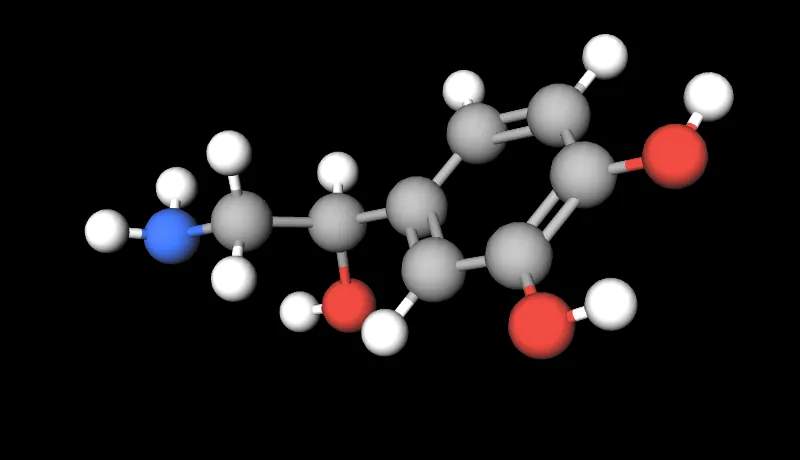 Picture Molecule Noradrenaline 800 460.png