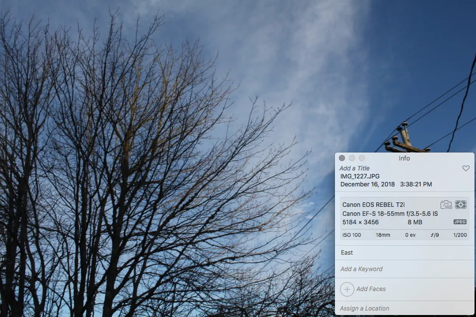 Screen Shot 2018-12-17 at 7.59.39 PM.png