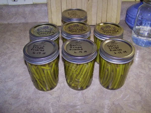 Garlic scape pickles2 crop June 2019.jpg