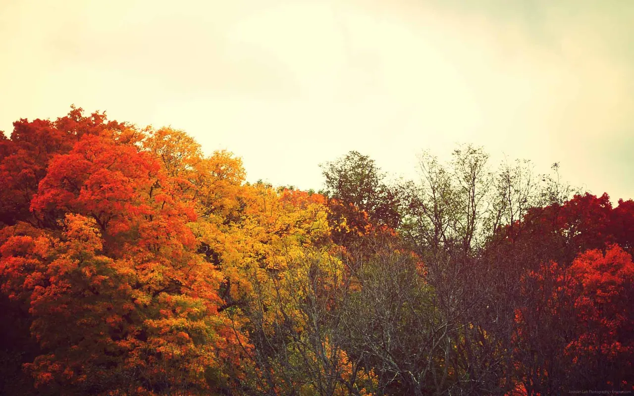 tumblr_static_desktop-wallpaper-fall-colors121.jpg