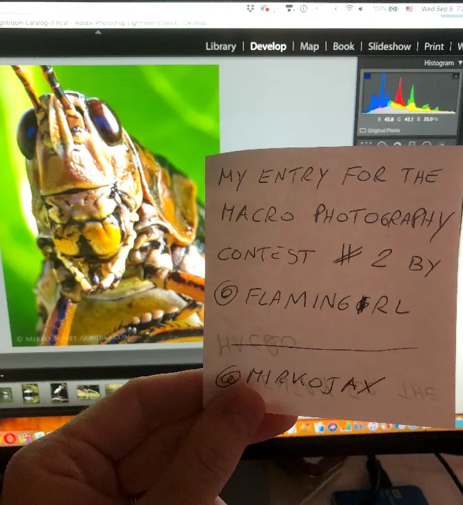 Screen Shot 2018-09-05 at 7.45.10 AM.png