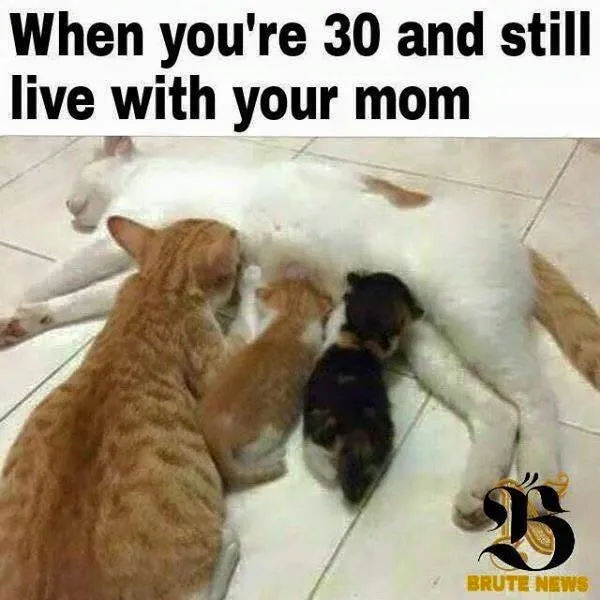 35416399_466608910463502_8999311925259010048_n.jpg