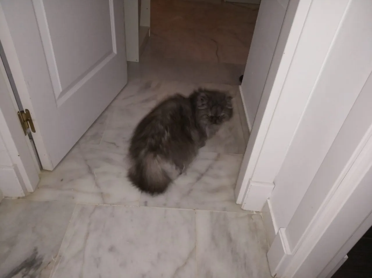 WhatsApp Image 2019-04-11 at 21.59.19.jpeg