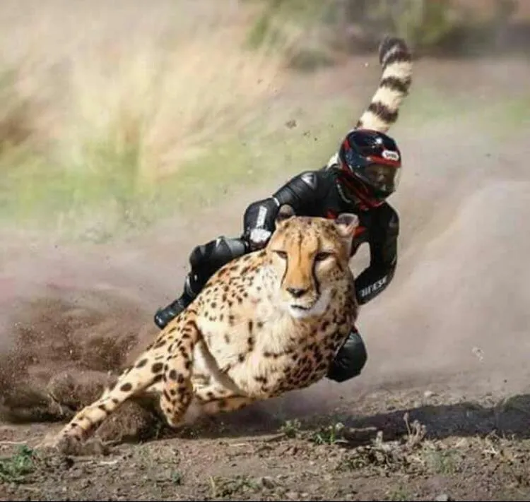39281047_489825484825191_4379304957451436032_n.jpg