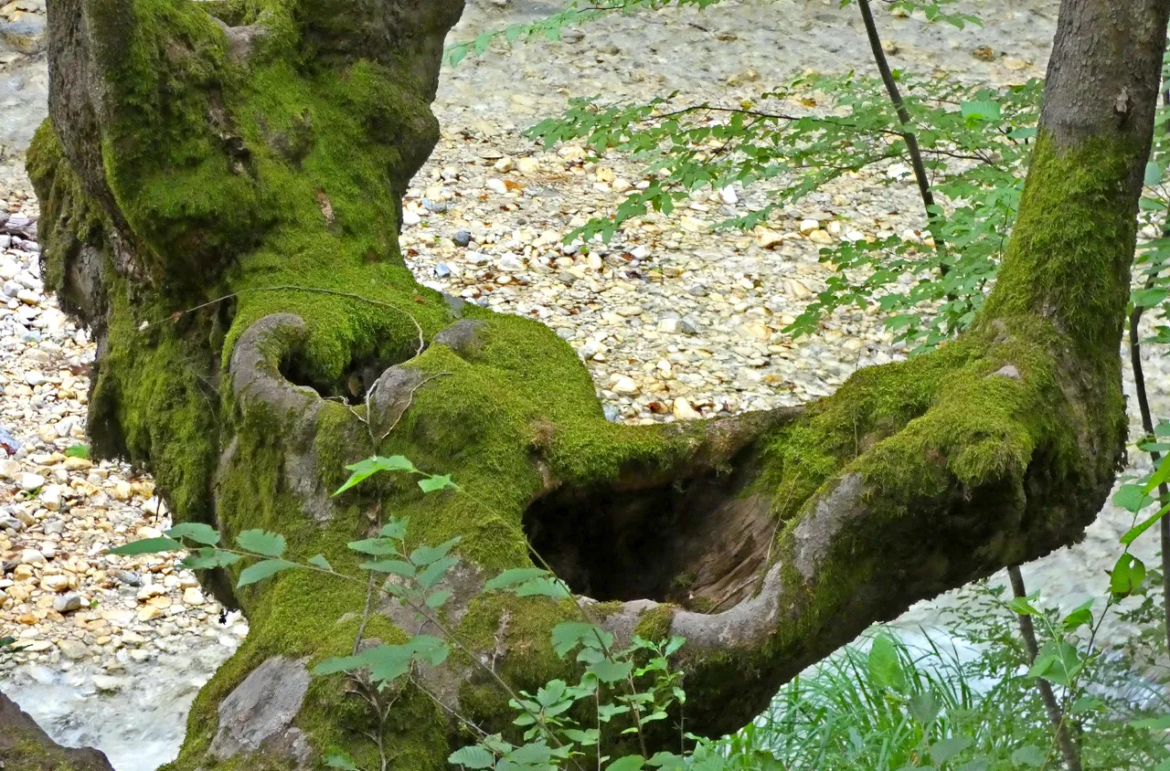 Képernyőkép_2018-07-10_12-03-46.png