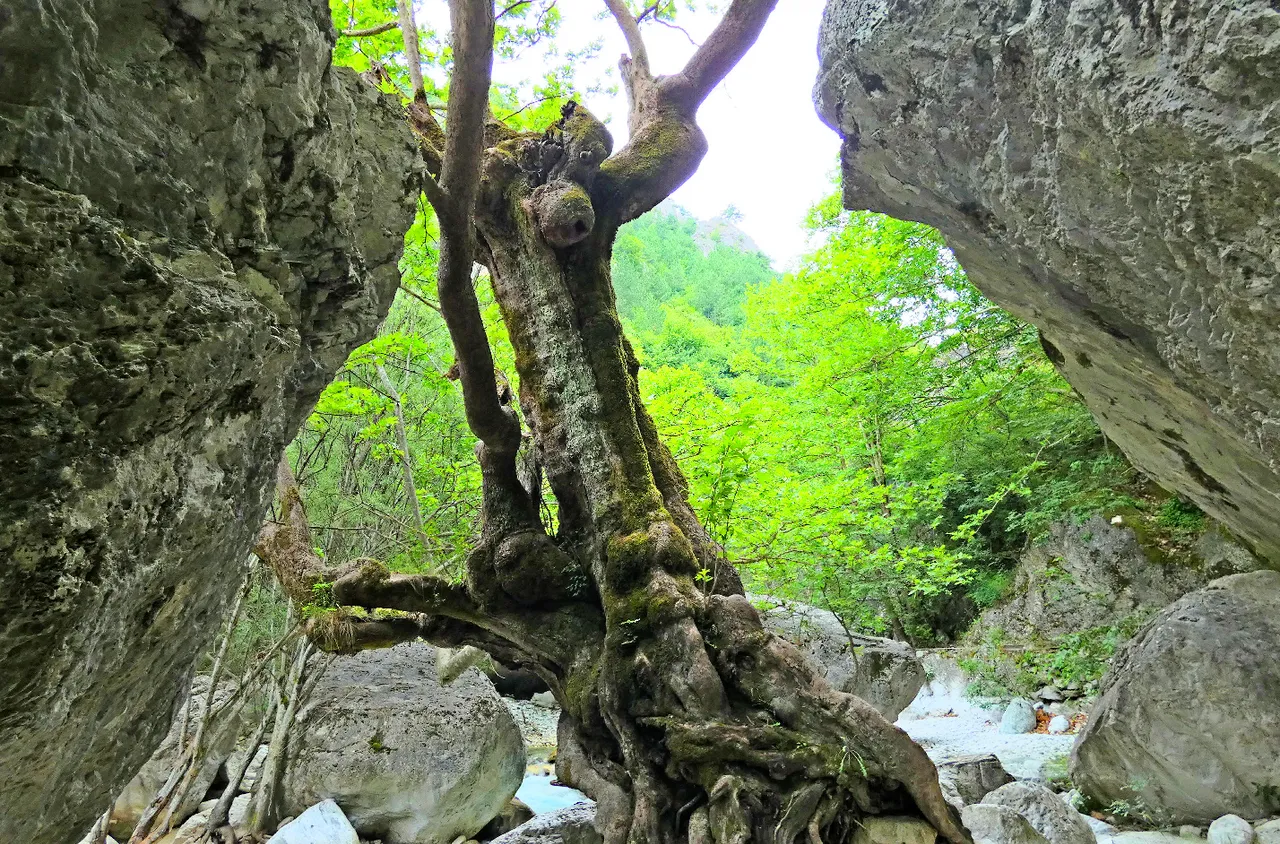 Képernyőkép_2018-07-10_12-05-29.png