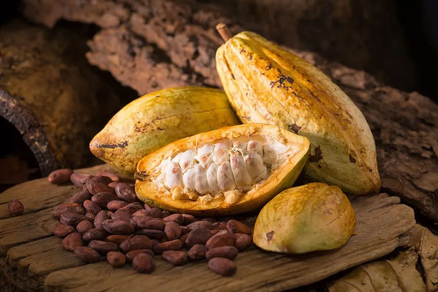 bigstock-Cacao-Fruit-Raw-Cacao-Beans-181957312.jpg