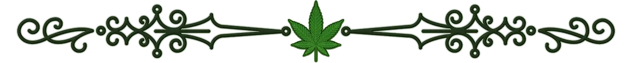 cs-green-canna-curate-divider-transparent_orig.png