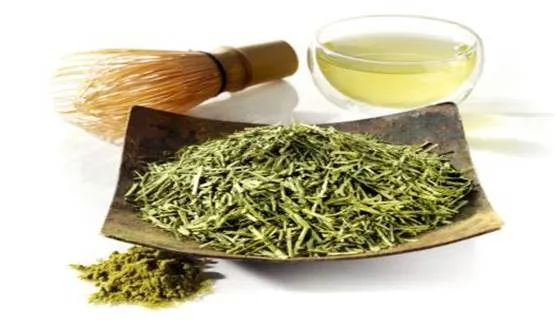 Green Tea Lifts Athletic Performance_3.jpg