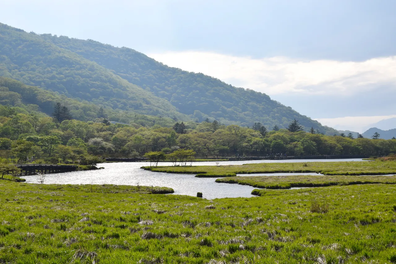 Kakumanbuchi wetland Gunma Prefecture credit 雷太 2.0.jpg