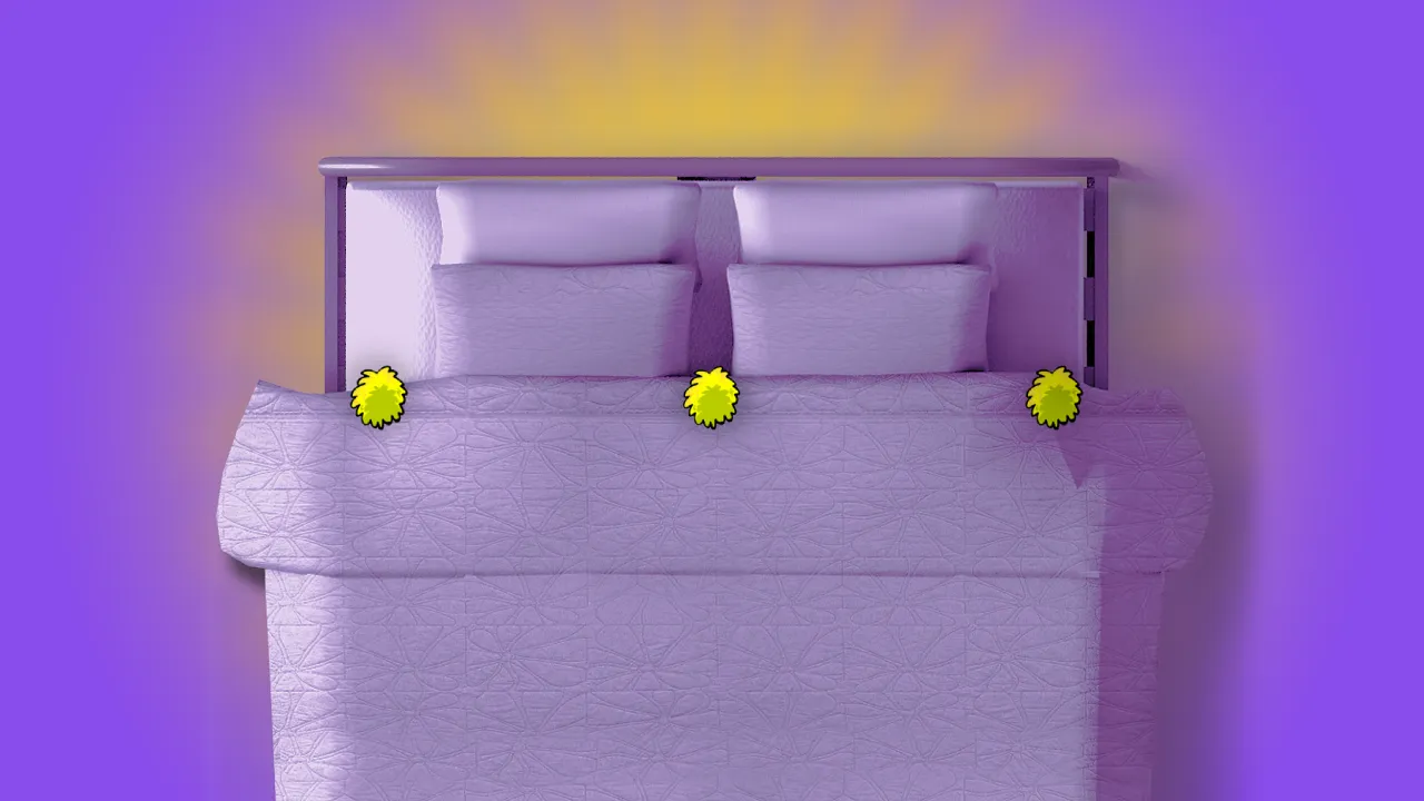 Bed.png
