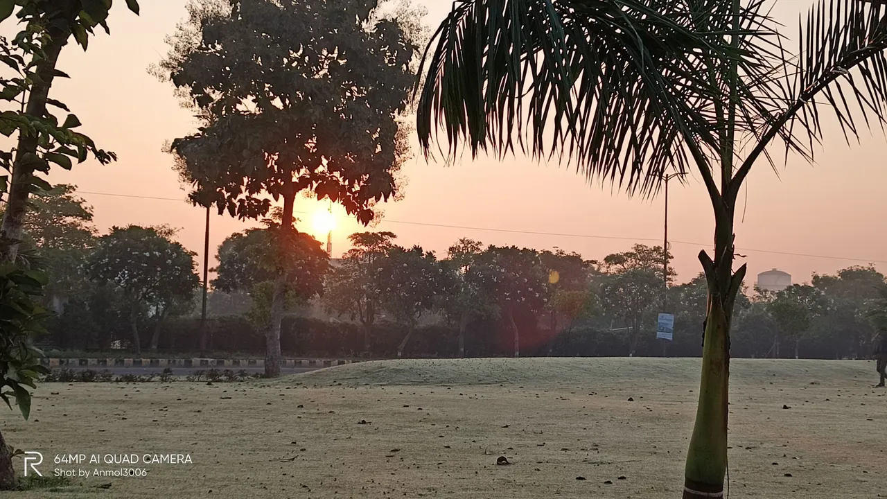 IMG20201117065240_00.jpg