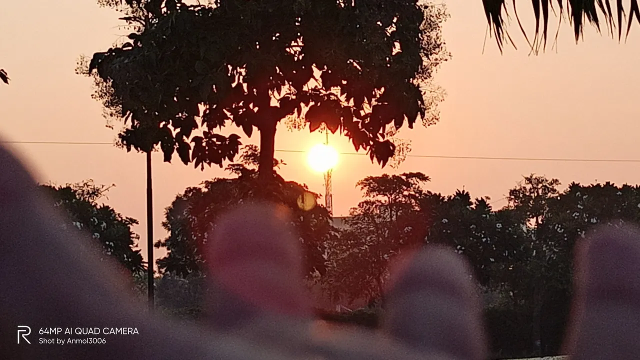 IMG20201117065330_00.jpg