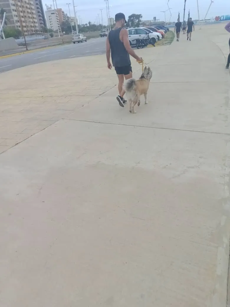playa.jpeg