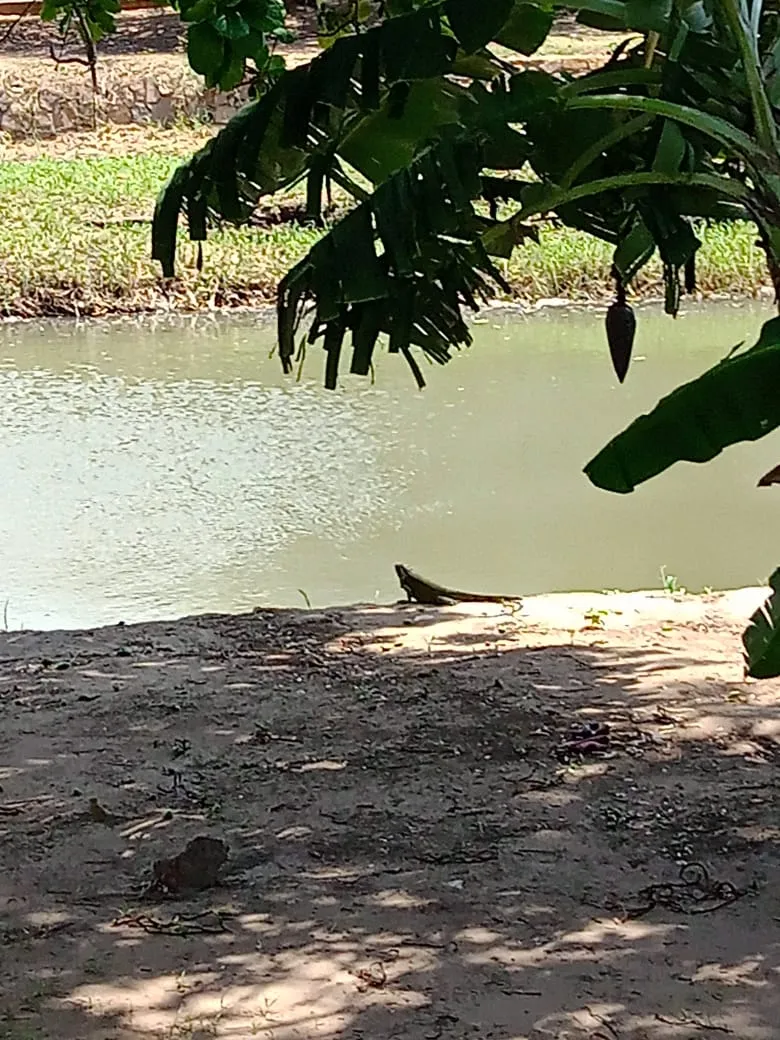 parque A (5).jpeg